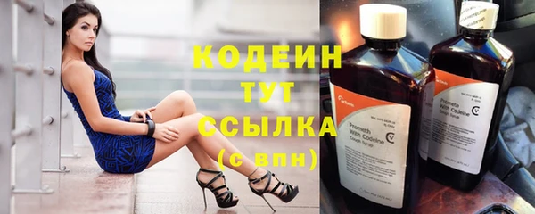 прущие грибы Бикин