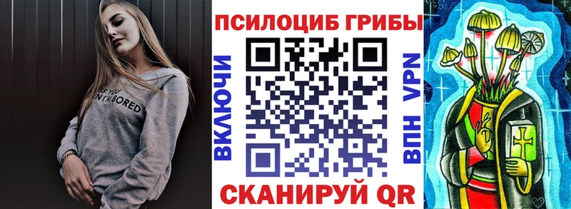 где найти наркотики  Кирсанов  Галлюциногенные грибы Psilocybe 