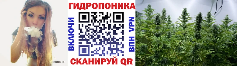 Конопля LSD WEED  где купить наркотик  Кирсанов 
